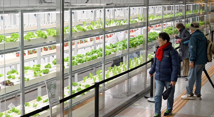 20260318-도심 속 스마트팜 확대2