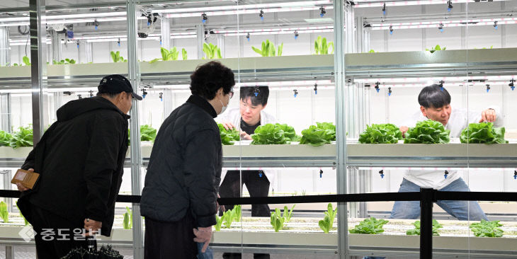 20260318-도심 속 스마트팜 확대4
