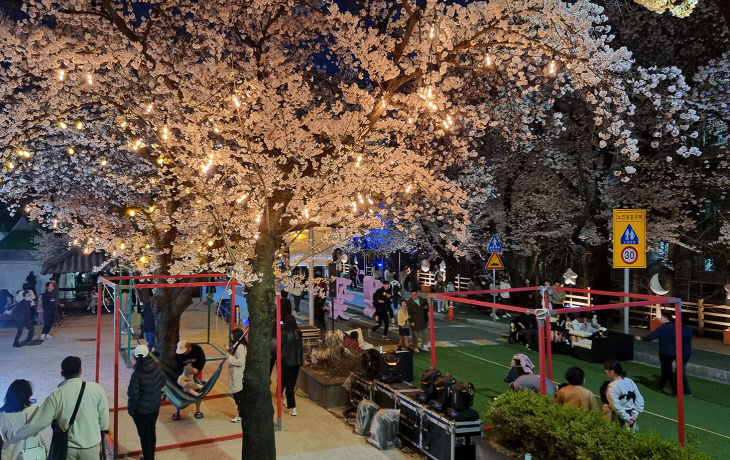 로 즐겨보자! (2)-벚꽃 축제 (1)