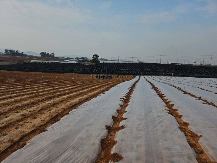 773805203158_7439878258827286493_6167742729