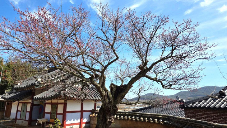 773931796640_7440409230378208240_1143624897