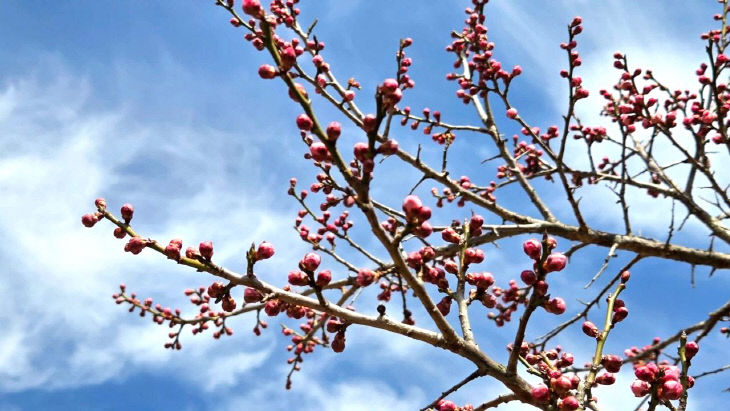 773931841522_7440409418626822009_1144074835