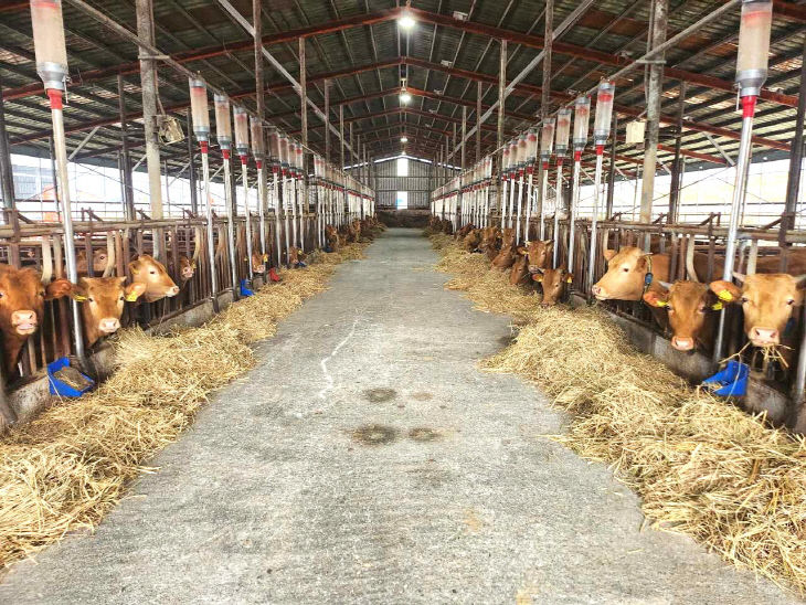 농가당 최대 30개 지원