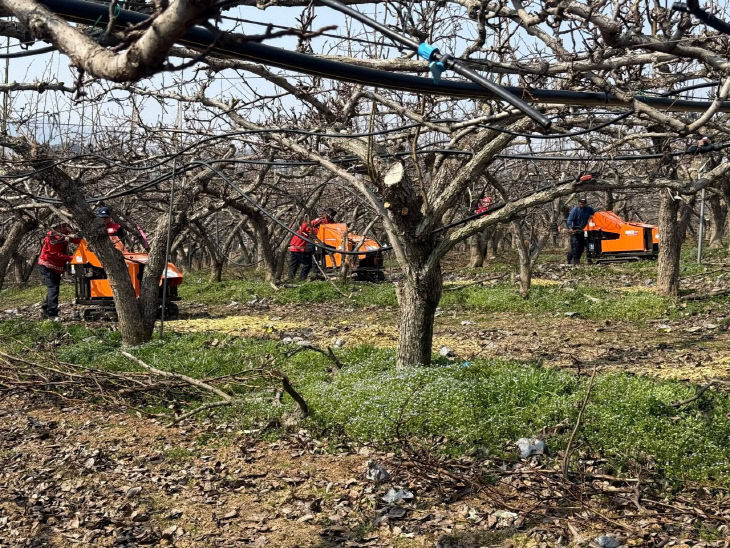 1773903217966_119843153816520