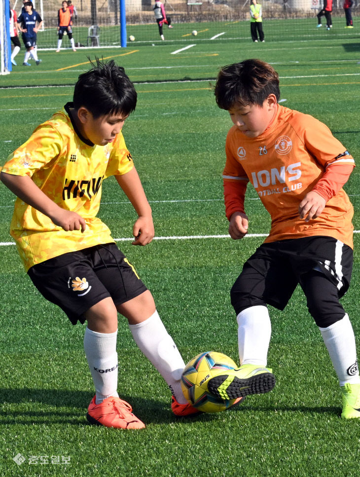 20260321-공주금강배 전국풋살대회15