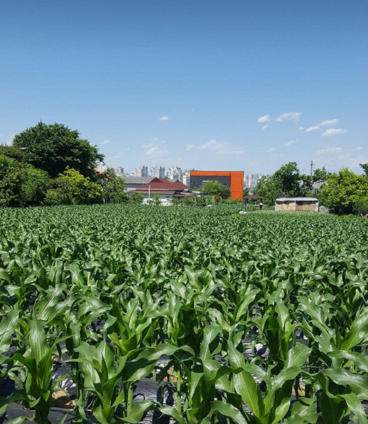 Screenshot_20260213_174305_KakaoTalk (1)