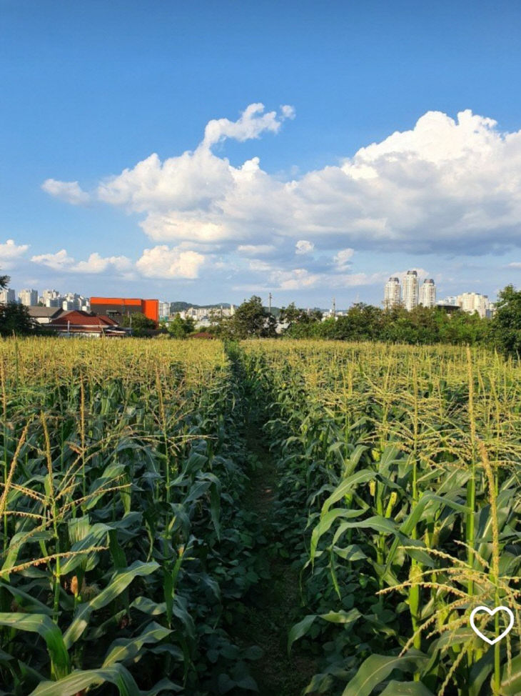 Screenshot_20260213_174316_KakaoTalk (1)