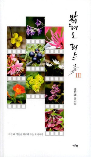 55794264786.20250724092138