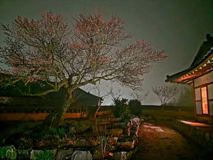 774139181784_7441279066715376186_3157455885