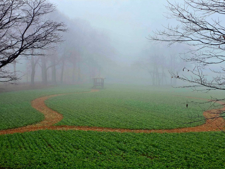 774139147751_7441278923968756082_3154021653