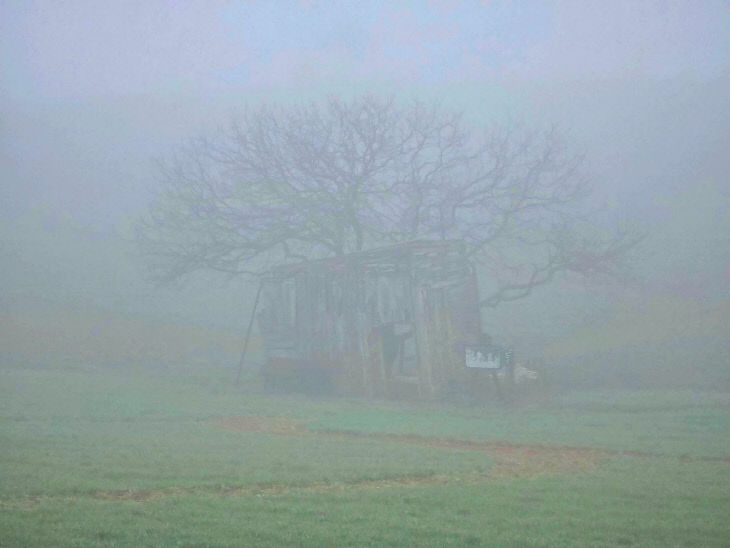 1774139107520_7441278755230711828_3150326864