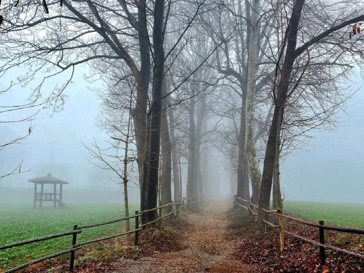 1774139165259_7441278997404279573_3155759338