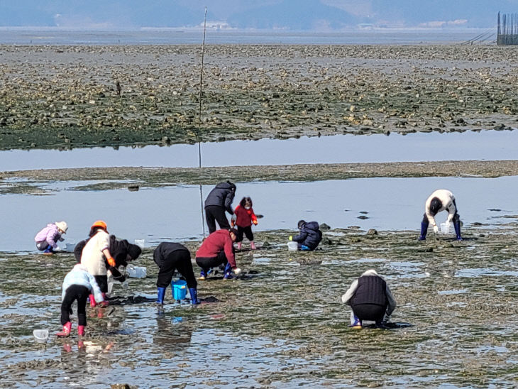 KakaoTalk_20260323_082109462