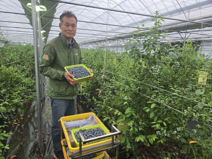 2. 영동군, 하우