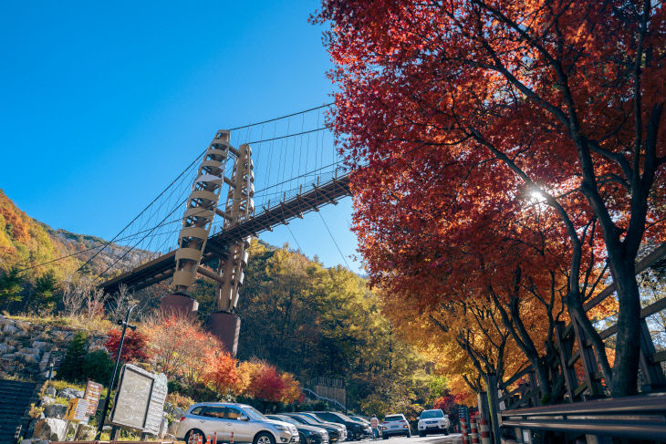 좌구산 가을풍경(명상구름다리)
