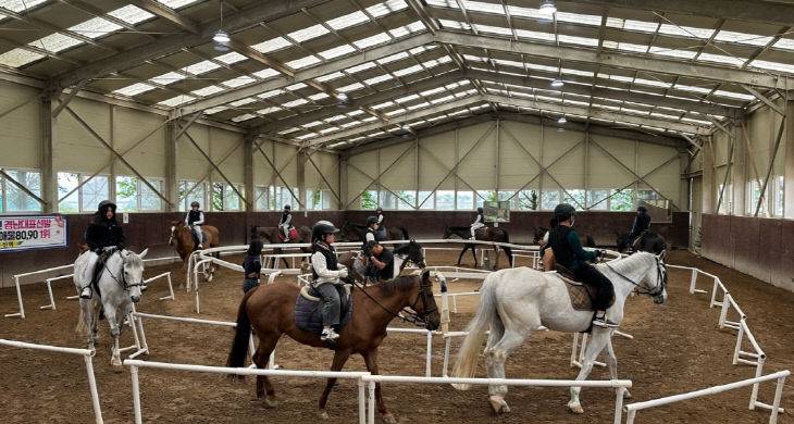 학생들의 관내 승마장 승마체험 사진