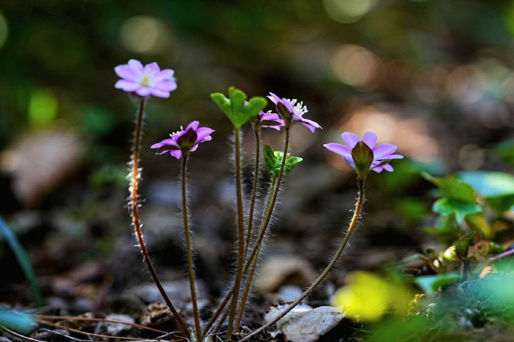 1774151581469_7441331074762712312_3652622694