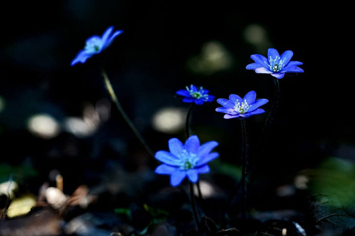 774151487653_7441330681272610172_3643281290