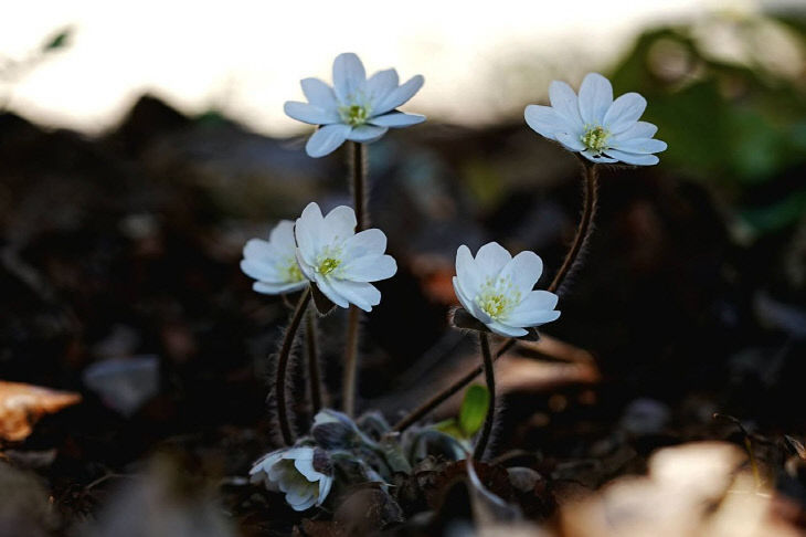 1774151598010_7441331144141654099_3654486835