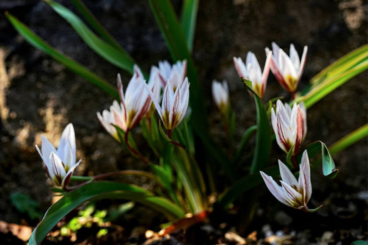 1774151542402_7441330910905084893_3648803467