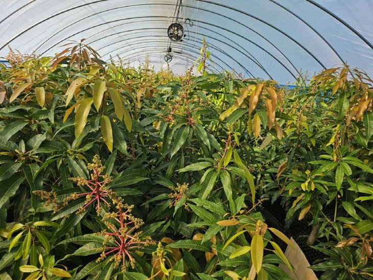 _1774055876960_7440929660959251731_1693913424