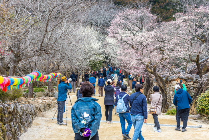 사본 -1 순천 선암사 (2)