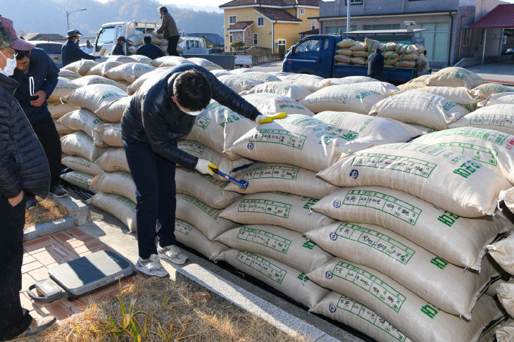 영주-4-2 벼수매 검수하는 모습