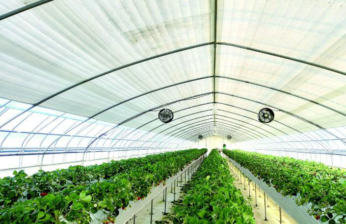 농가에 에너지 절감 기술 보급으로 유가 상승 대응.