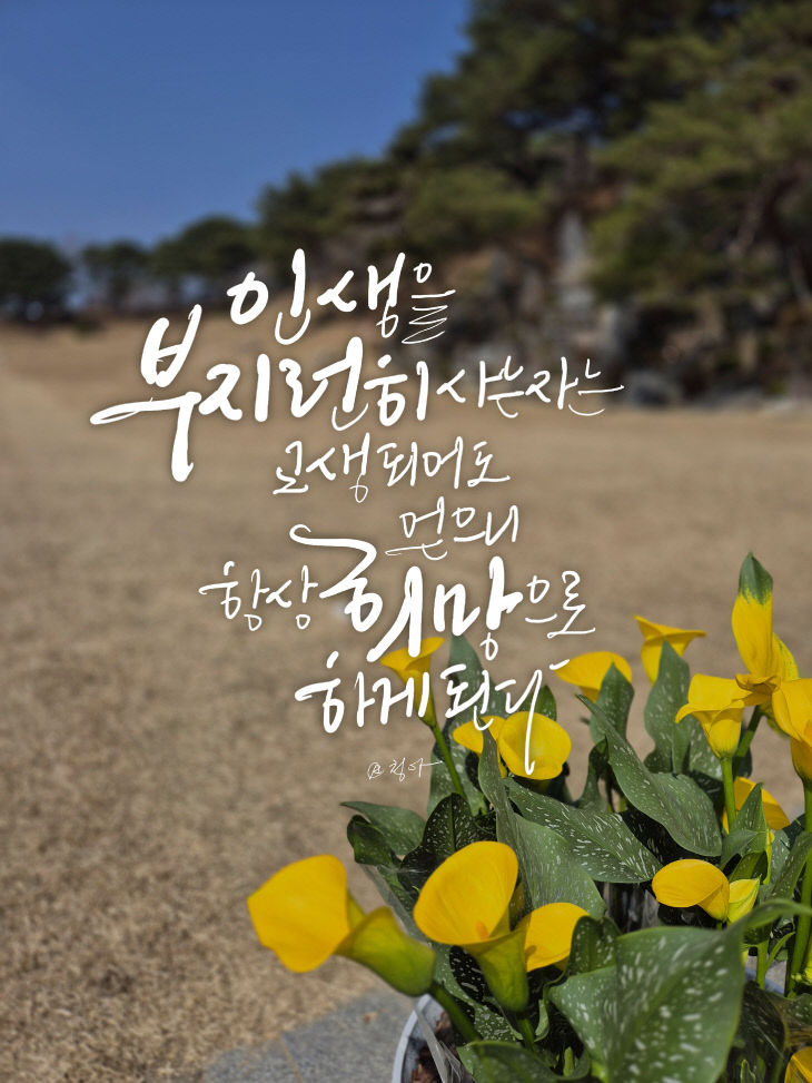 KakaoTalk_20260320_074853847