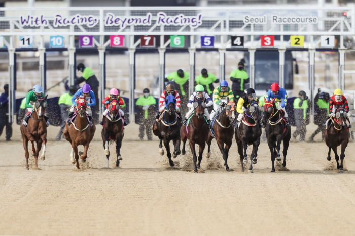 (기획2)(사진1) 한국마사회 경마 시행 장면
