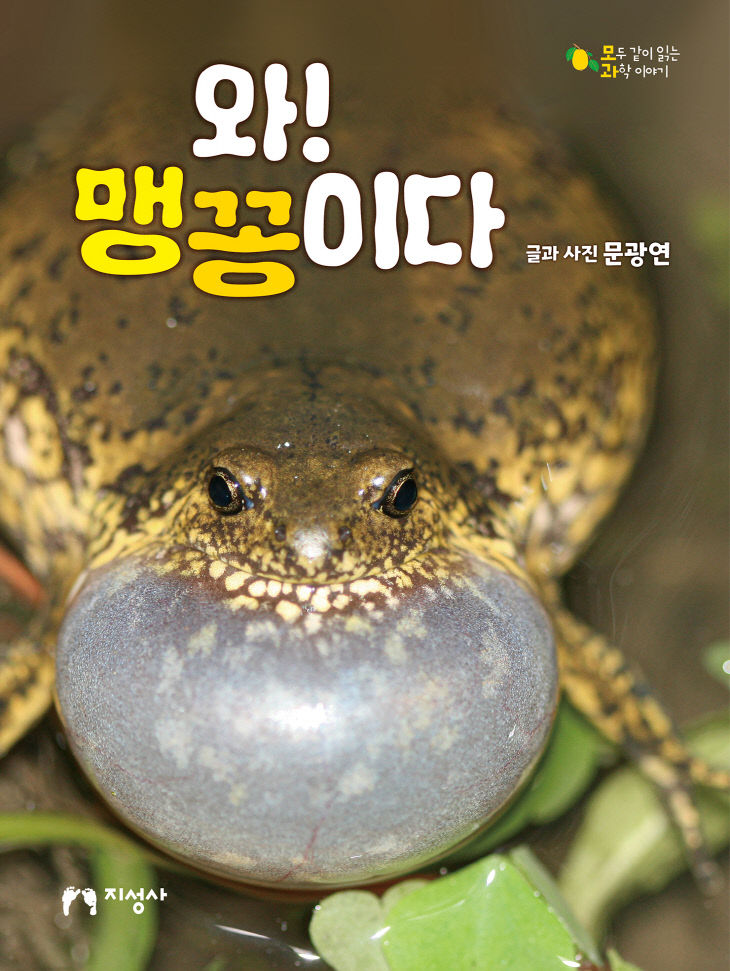 KakaoTalk_20260324_172521792