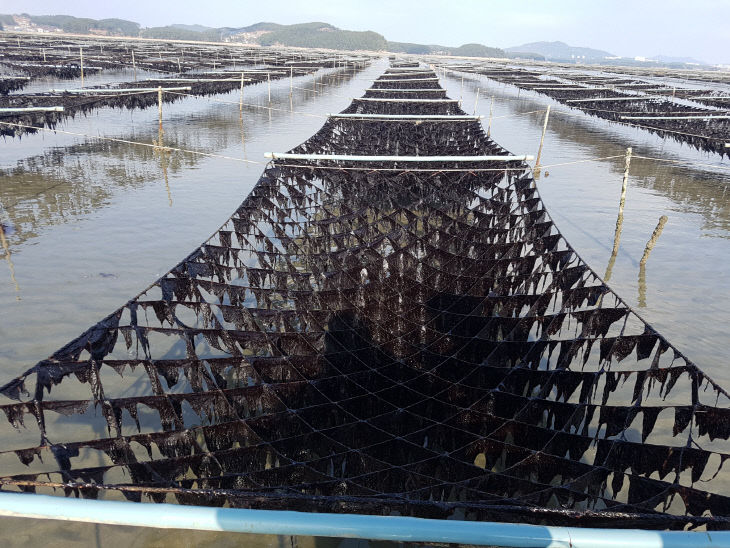 20221228_133447_resized