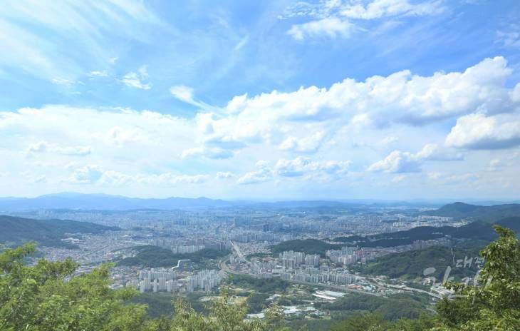 식장산 전망대_2025-06-30_4