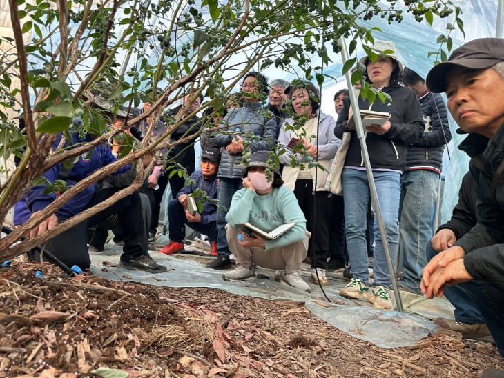 1774540693077_7442963127138751442_6996161052