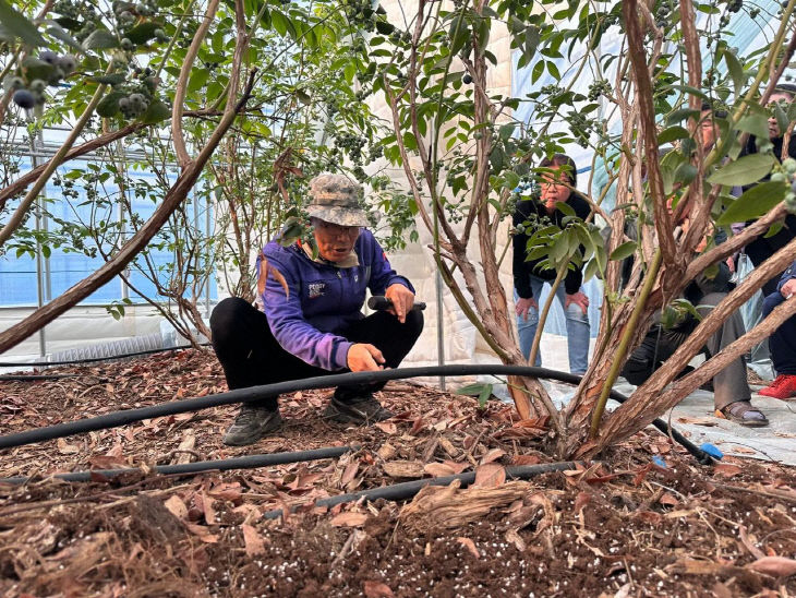 1774540607789_7442962769414375874_6987820444