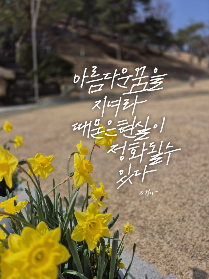 KakaoTalk_20260325_075446817