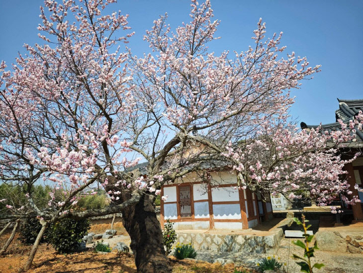 1774766798645_7443911482625990988_1650701185