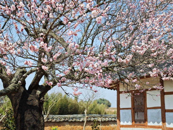 774766765223_7443911342444387383_1650379298