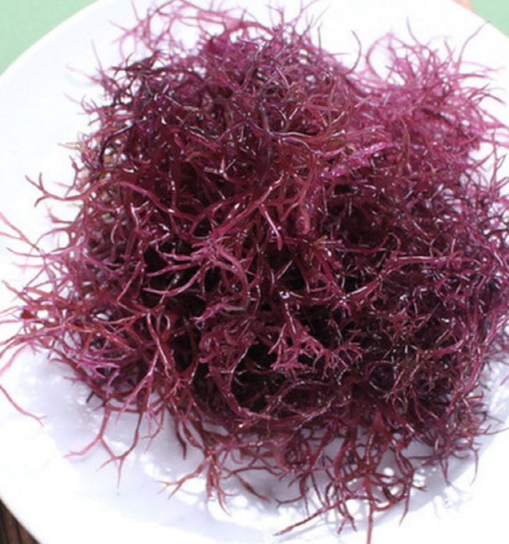 KakaoTalk_20260323_084853538