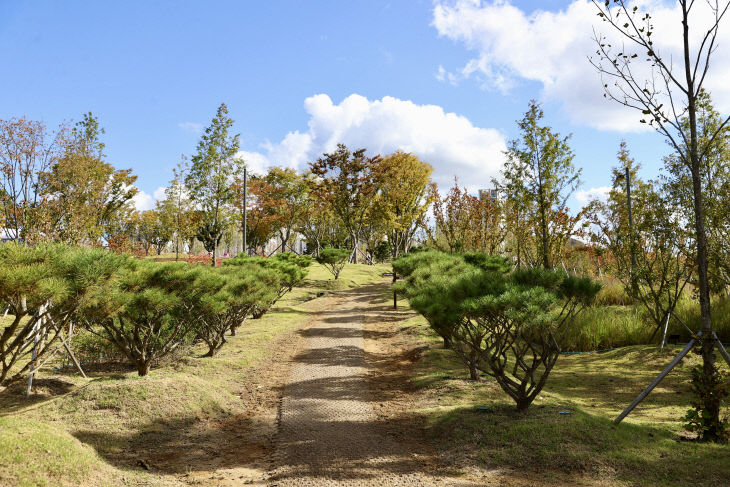 260401 충주 시민참여의 숲 준공식 개최(시민의 숲 전경2)