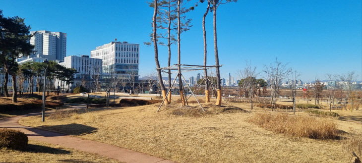 2025020301000137100005144