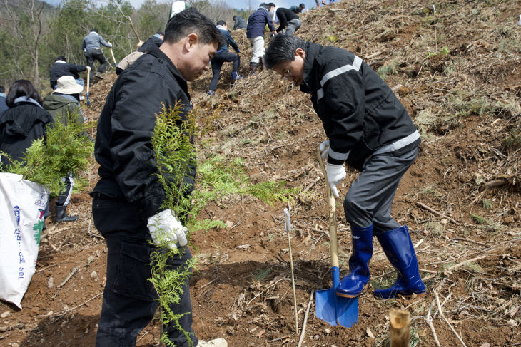 청양 식목일 기념 나무 심기