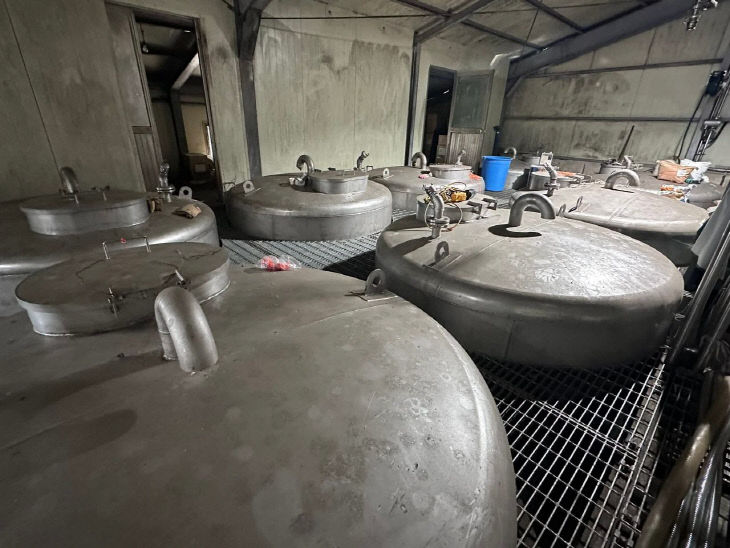 774958359246_7444714946026039506_2424209165