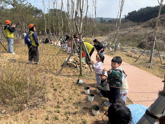 고창그린마루 맥문동 식재(2) (1)