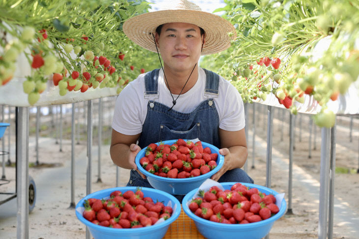 사본 - (사진1)청년 농업인 딸기 수확