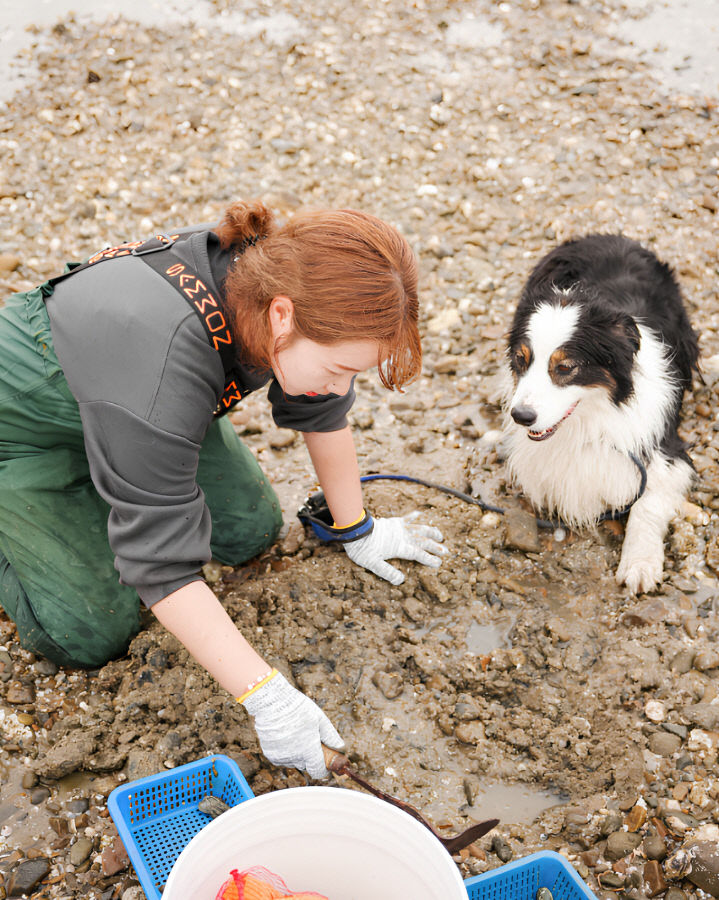 댕댕이 갯벌체험(2025) (1)