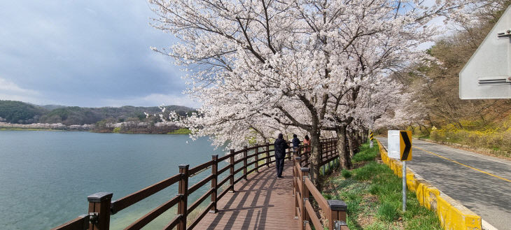 2026031301001063400045034