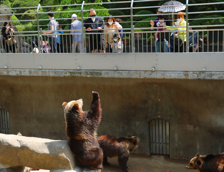06_베어트리파크 베어빌리지