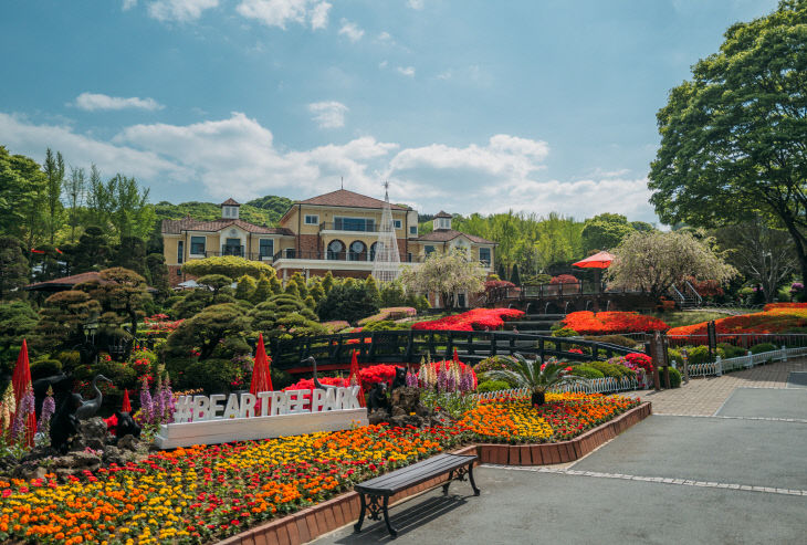 01_베어트리파크 봄꽃 축제