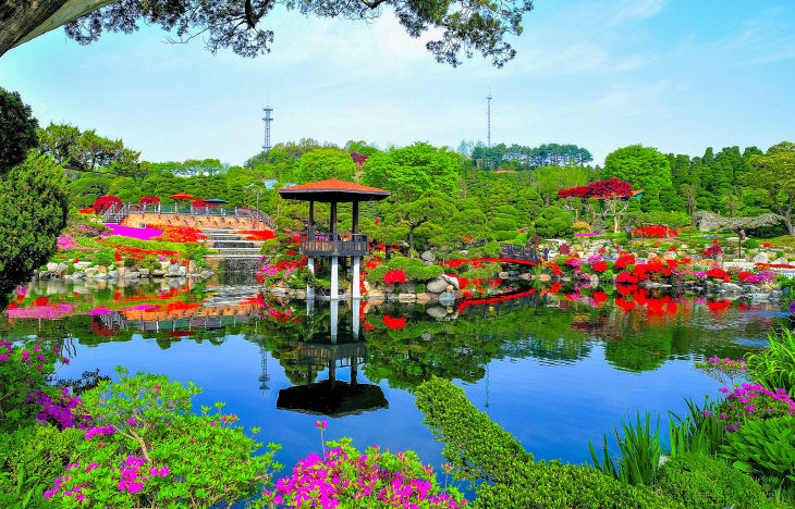 05_베어트리파크 철쭉